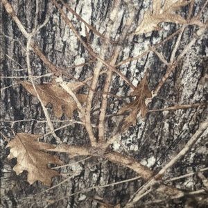 Meet your Posher, Serenna